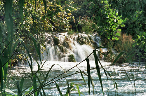Krka zdjęcie nr 1536