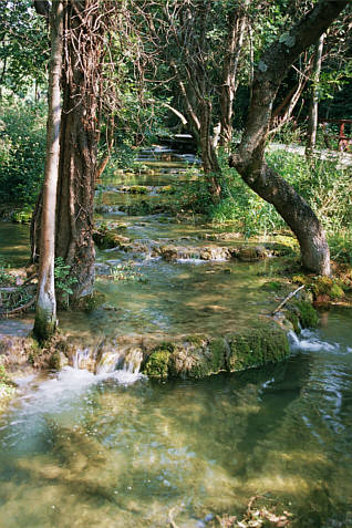 Krka zdjęcie nr 1526