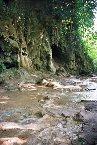Krka zdjęcie nr 1527