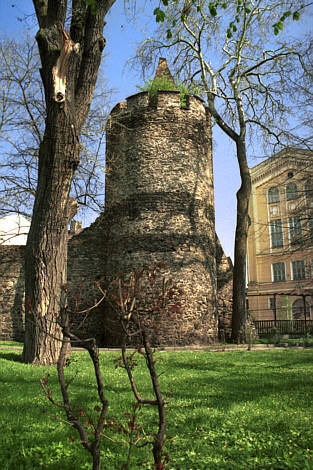 Kolejna baszta łupinowa
