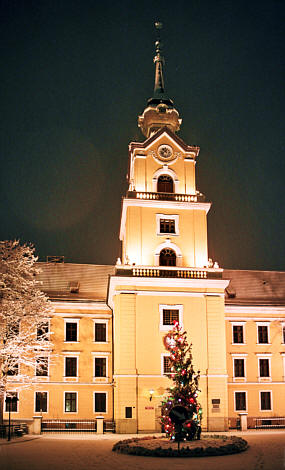 Zamek rzeszowski widziany spod drzew