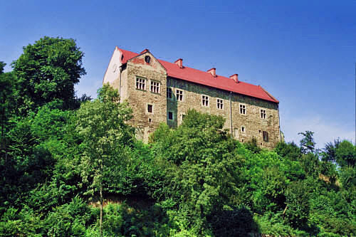 Zamek z  I poł. XIV wieku. Widok  od  południowego wschodu (przed remontem i odbudową)