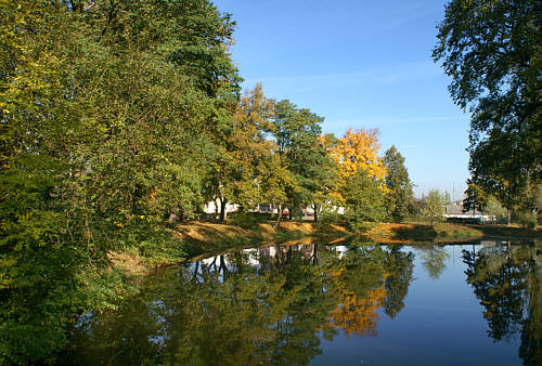 Fosa