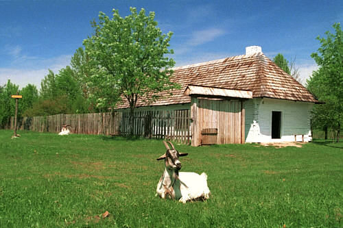 Widoki w skansenie w Tokarni
