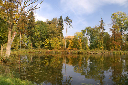 Walewice - Park