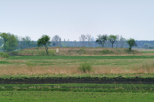 Gródek stożkowaty - miejsce po dawnej siedzibie rycerskiej z XII w.