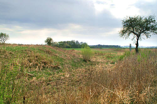 Fosa grodziska