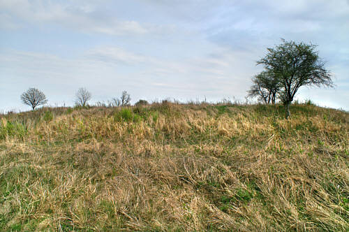 Kopiec