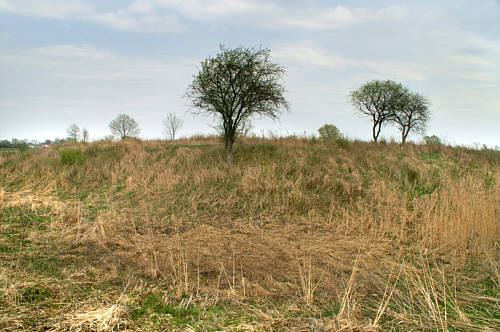 Fosa a za nią kopiec