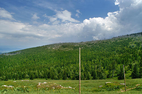 Widok spod schroniska