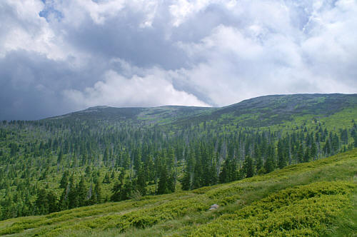 Widok z okolicy schroniska