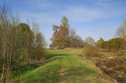 Grobla prowadząca do ruin starego dworu (po środku zdjęcia)- siedziby XVII-wiecznego starostwa niegrodowego