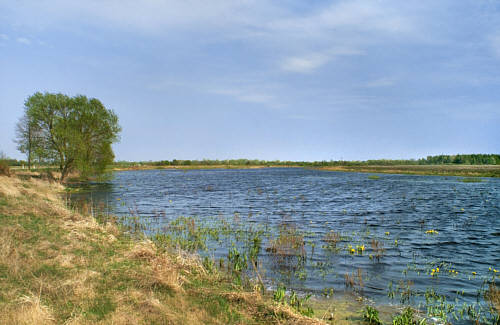 Rozlewiska Bugu