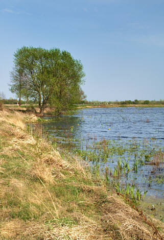 Stulno i okolice zdjęcie nr 3420