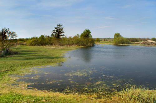 Stulno i okolice zdjęcie nr 3421