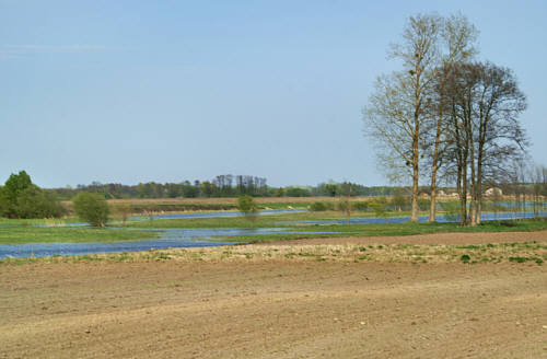 Stulno i okolice zdjęcie nr 3422
