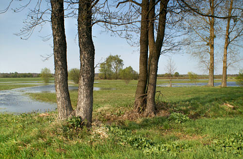 Stulno i okolice zdjęcie nr 3424