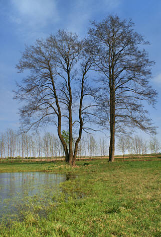 Stulno i okolice zdjęcie nr 3426