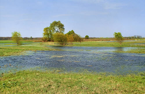 Stulno i okolice zdjęcie nr 3428
