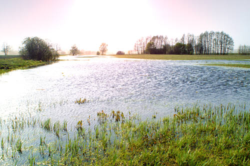 Stulno i okolice zdjęcie nr 3429
