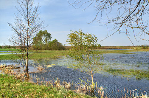 Stulno i okolice zdjęcie nr 3430
