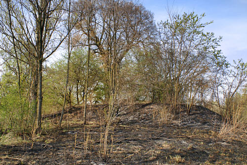 Kopiec dworski