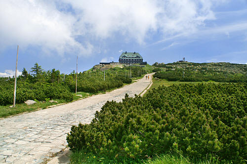 Schronisko