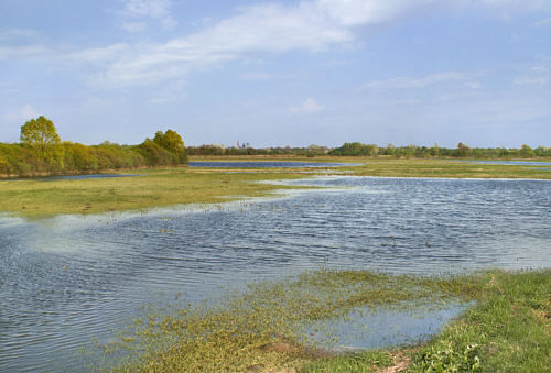 Zbereże i okolica zdjęcie nr 4324