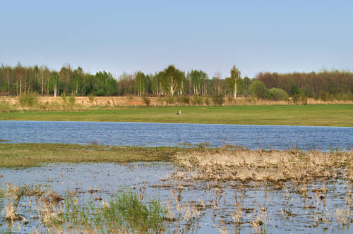 Zbereże i okolica zdjęcie nr 4325