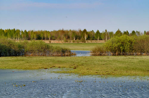 Zbereże i okolica zdjęcie nr 4326