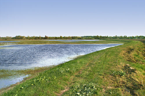 Zbereże i okolica zdjęcie nr 4331