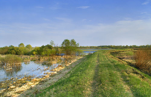 Zbereże i okolica zdjęcie nr 4332
