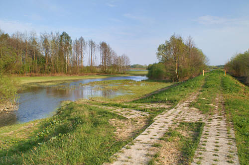 Zbereże i okolica zdjęcie nr 4333