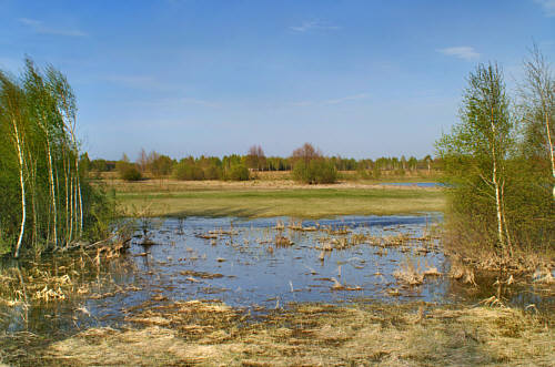 Zbereże i okolica zdjęcie nr 4338