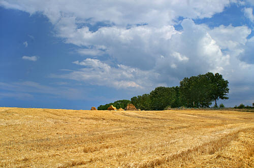 Zimowiska zdjęcie nr 4356