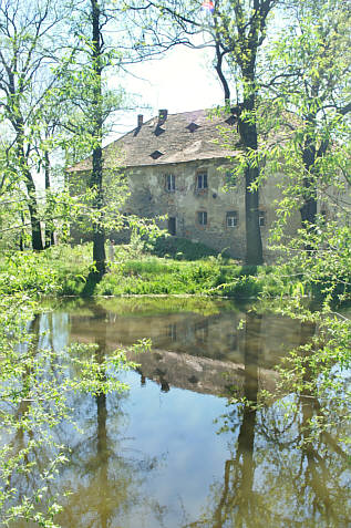 Widok z tyłu