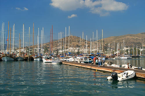 Widok z portu
