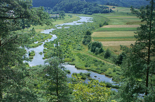 Dolina Sanu w Myczkowcach