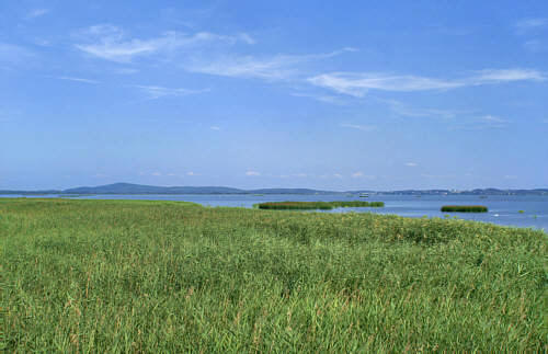 Jezioro Gardno