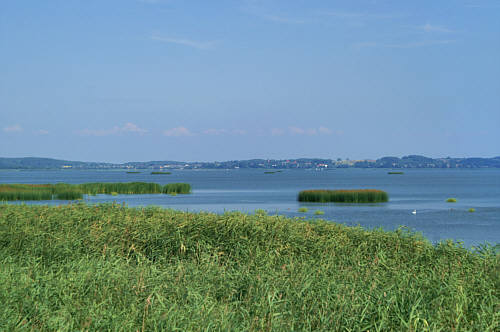 Rowy - okolice zdjęcie nr 2215