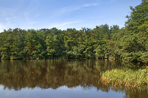 Rowy - okolice zdjęcie nr 2217