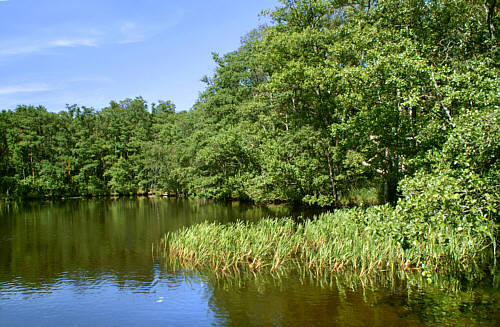 Rowy - okolice zdjęcie nr 2218
