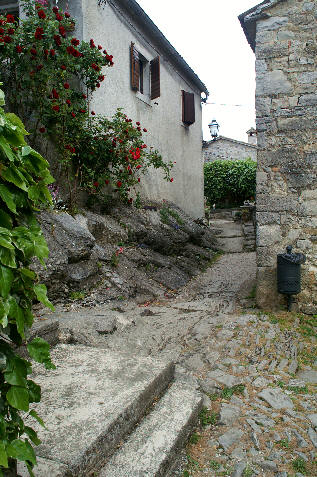Hum zdjęcie nr 1034
