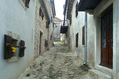 Hum zdjęcie nr 1042