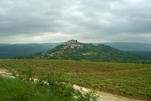 Widok z oddali na Motovun