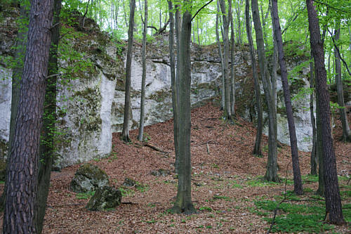 Skała zamkowa