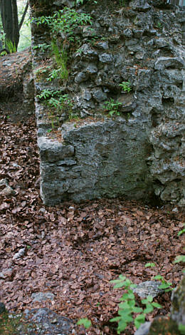 Zdjęcie ruin zamku ostrężnickiego