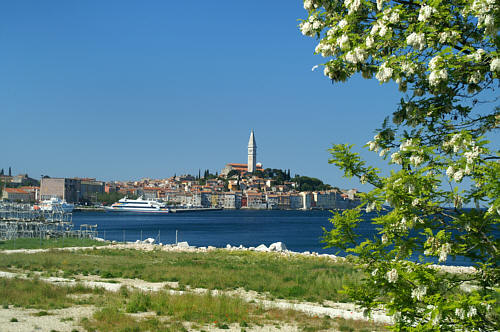 Rovinj zdjęcie nr 2806