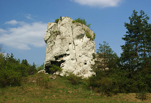 Widok resztek strażnicy na skale w Ryczowie od płd.-wsch.