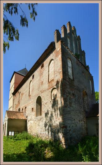 Bezławki zdjęcie nr 5720